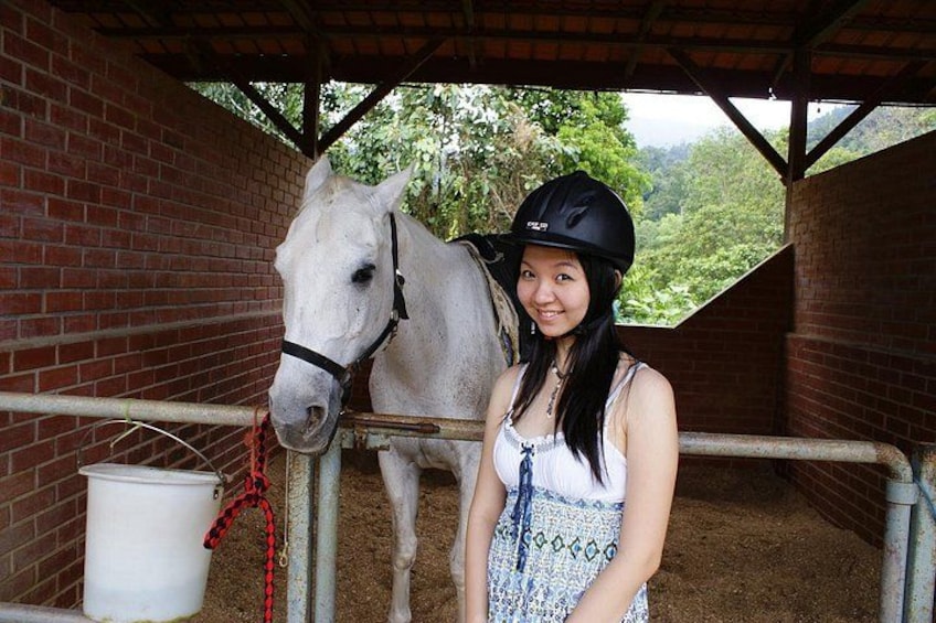A white horse in a stable with a person wearing a helmet. 5