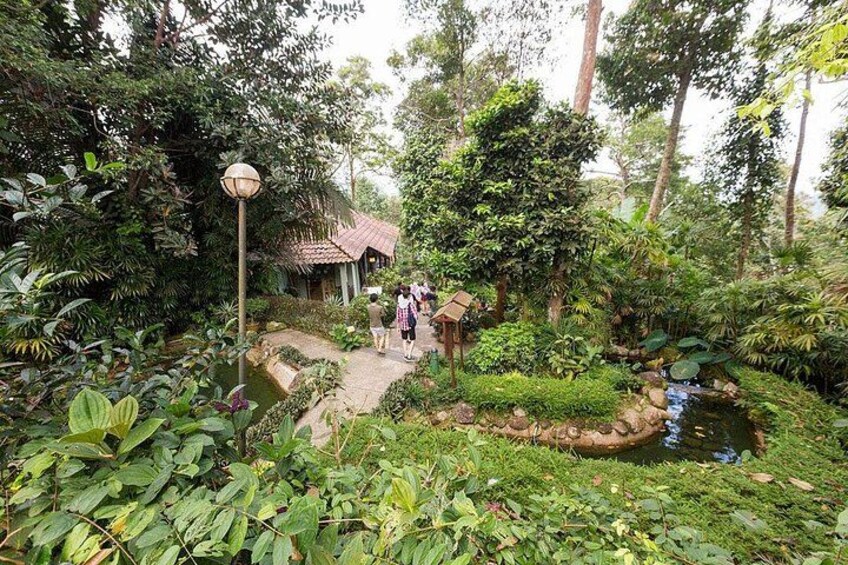 A garden with a pond, pathway, and a small building. 3