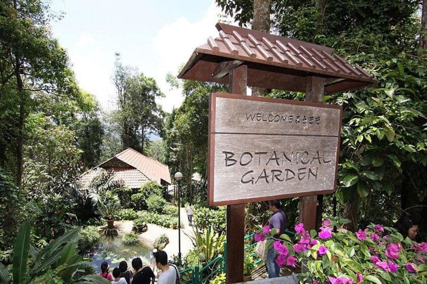 Botanical Garden 4