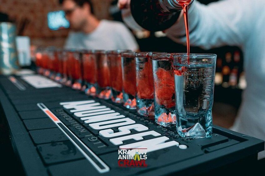 Krakow Animals Crawl with Free Alcohol & Karoake +4 Clubs/Bars 1