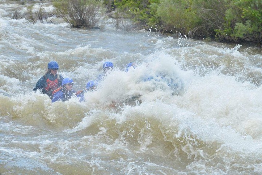 Bighorn Sheep Canyon Half-Day Rafting 3