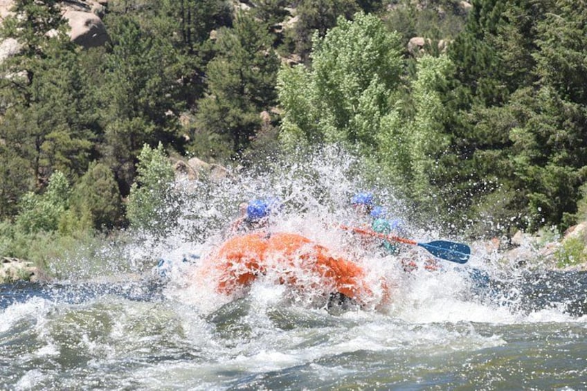 Bighorn Sheep Canyon Half-Day Rafting 3