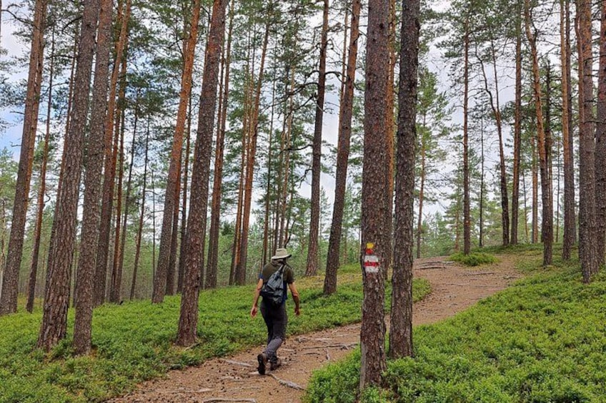 Go North – Private 1 Day Trip to Estonian Nature 3