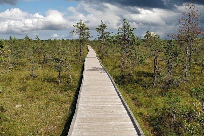Go North – Private 1 Day Trip to Estonian Nature 2