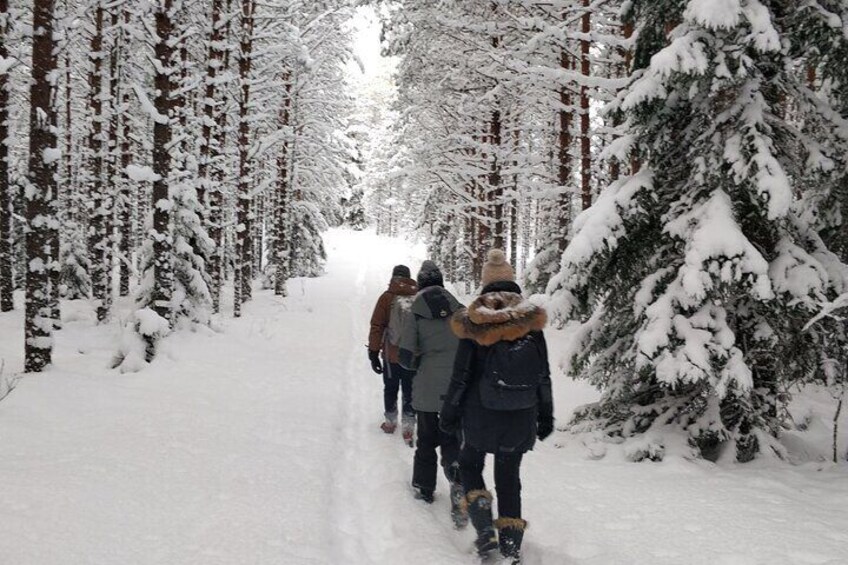 Go North – Private 1 Day Trip to Estonian Nature