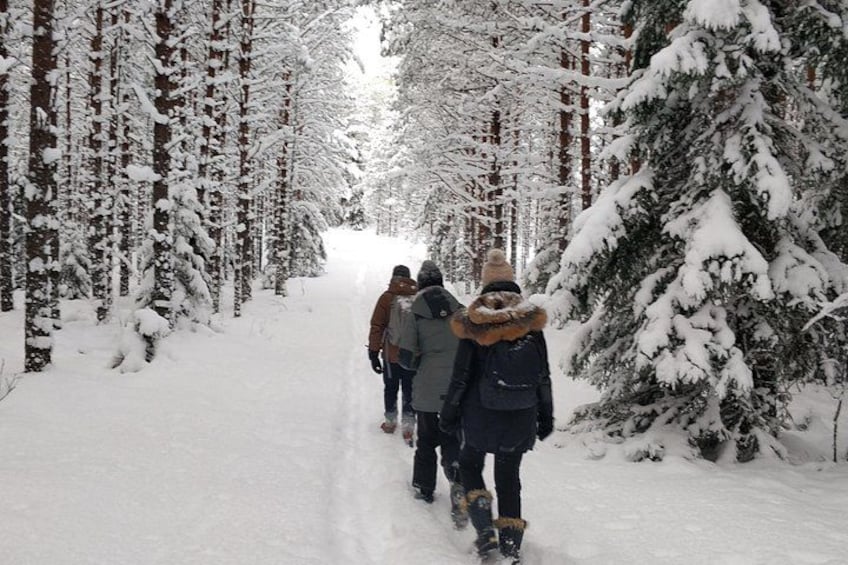 Go North – Private 1 Day Trip to Estonian Nature 4