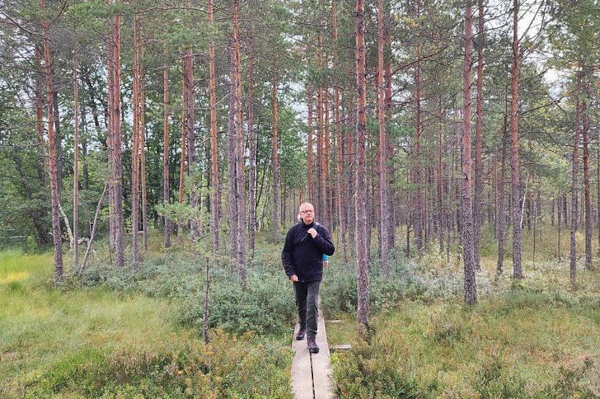 Go North – Private 1 Day Trip to Estonian Nature 2