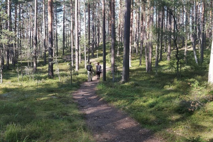 Go North – Private 1 Day Trip to Estonian Nature 5