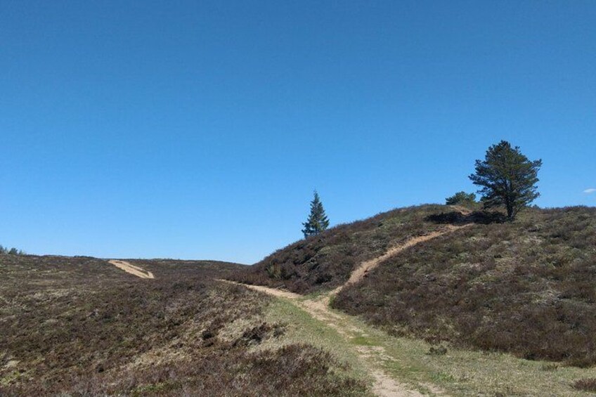 Un ciel dégagé, un chemin de terre et une colline à la végétation clairsemée. 2
