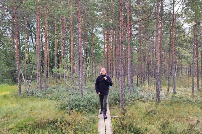 Go North – Private 1 Day Trip to Estonian Nature