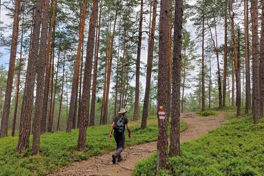 Go North – Private 1 Day Trip to Estonian Nature