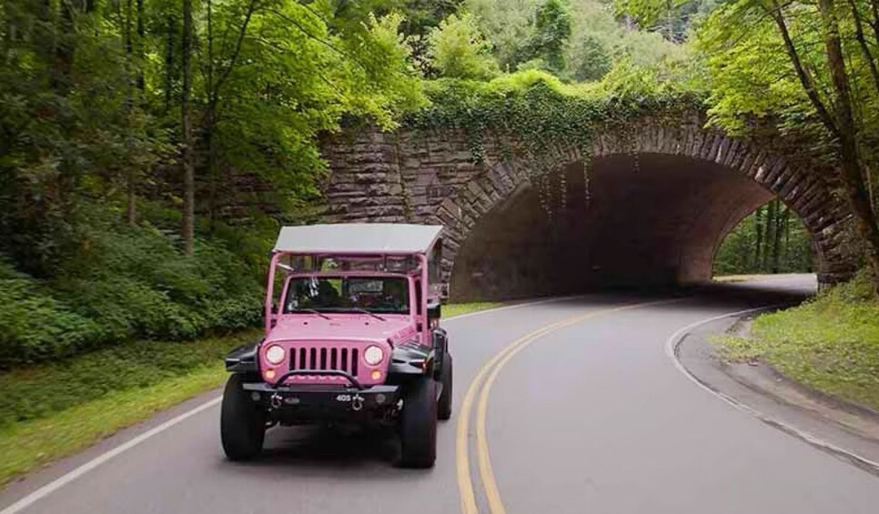 Newfound Gap Smoky Mountains Tour 3