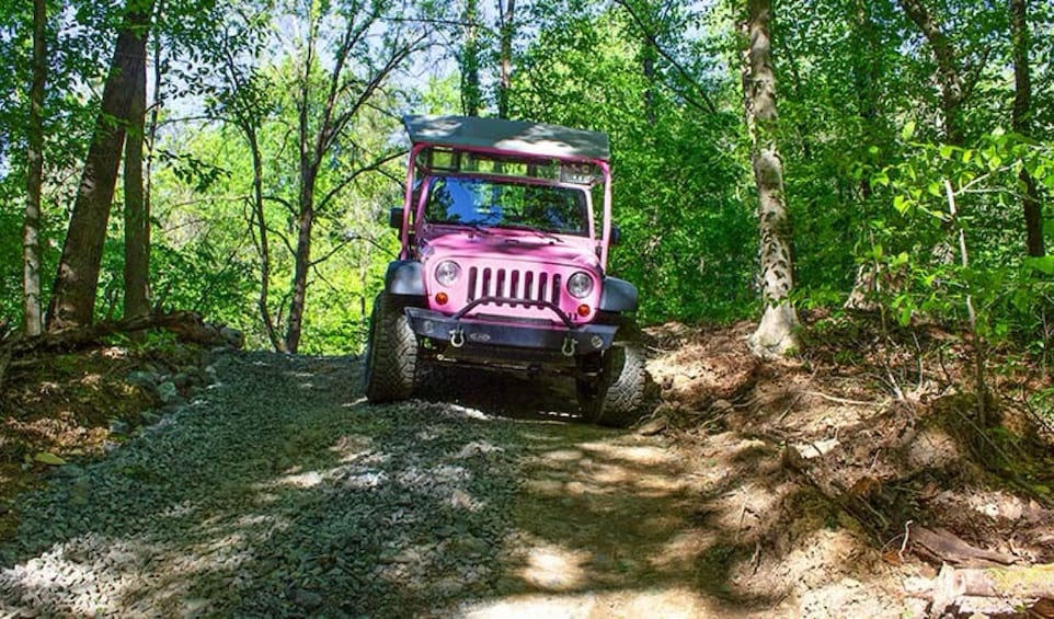 Roaring Fork Smoky Mountains Tour 3