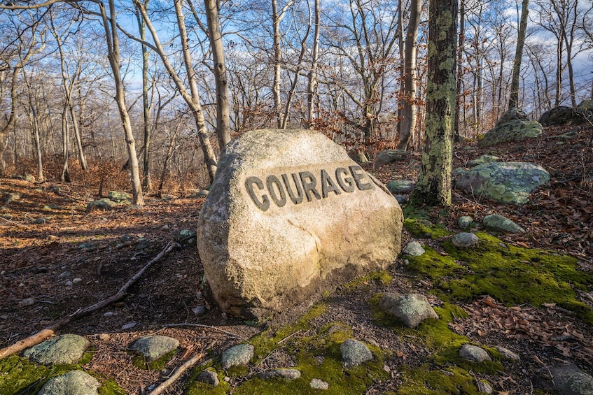 A large rock with the word "COURAGE" carved into it, surrounded by a forest with leafless trees. 5