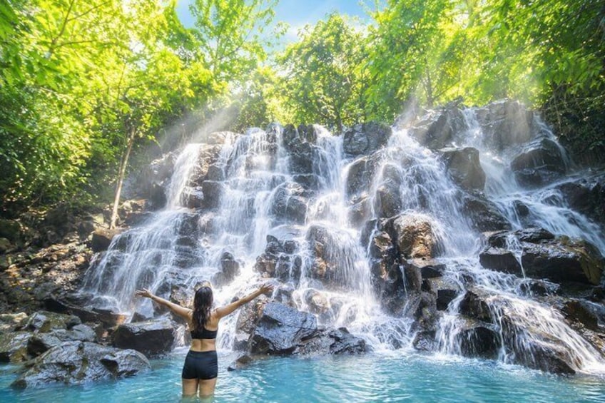 Ubud: Full-Day Rice Terrace, Monkey Forest, Temple and Waterfall. 1