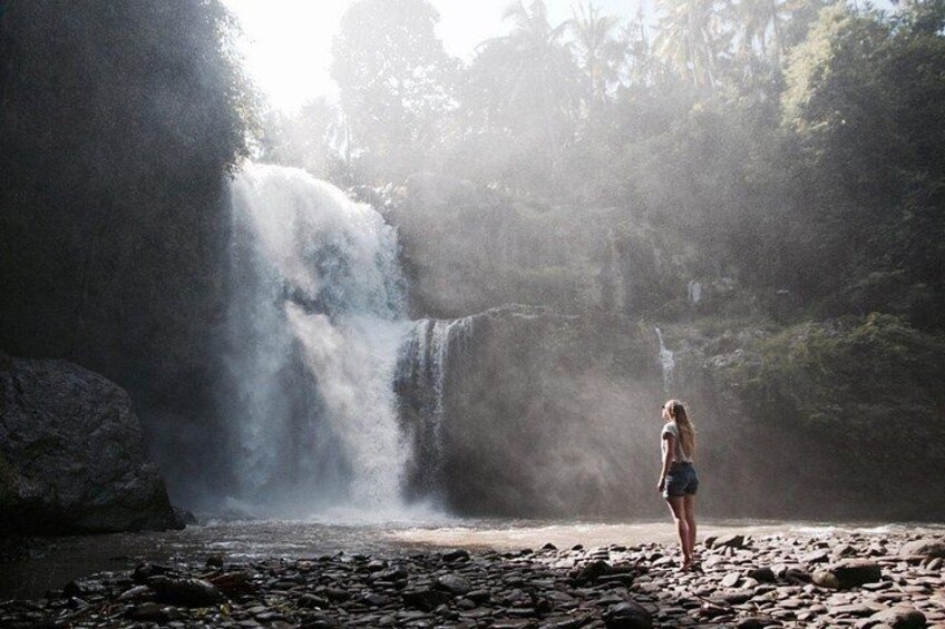 Ubud Tour : Monkey Forest, Waterfalls, Temple and Rice Terraces 4