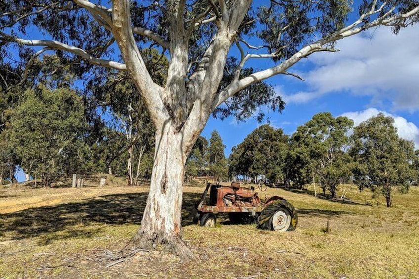 Farms in the Megalong Valley 2