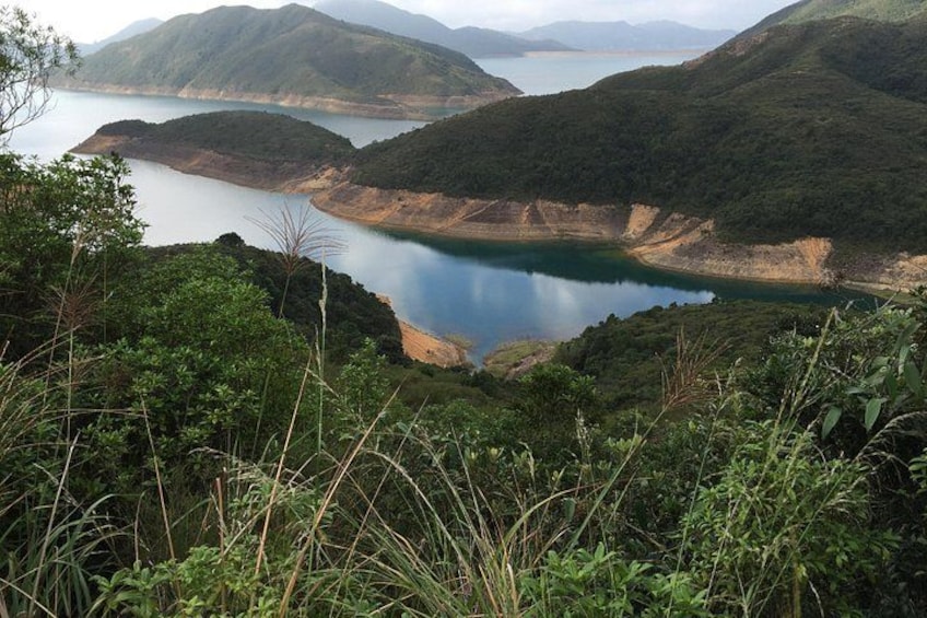 Eine Berglandschaft mit einem See, umgeben von dichter Vegetation. 4