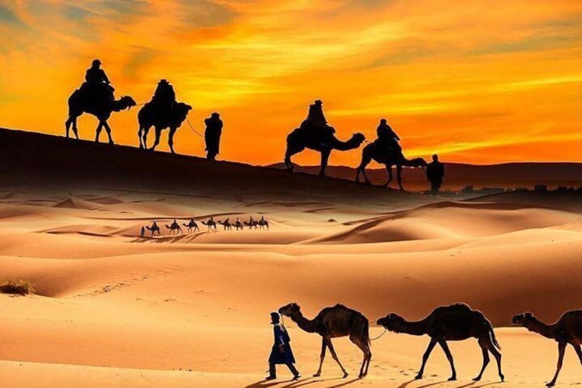 Dubai Desert Safari with BBQ, 3 Shows & Camel Ride at Majlis Camp 1