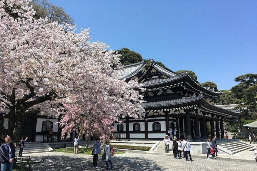 A traditional Japanese building with cherry blossoms in the foreground. 3