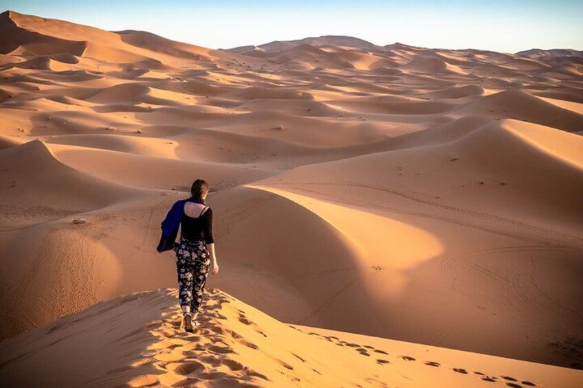 Private Morning Desert Safari Dubai with Dune Bashing & Sandboard 3