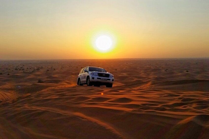 Morning Safari Private 4