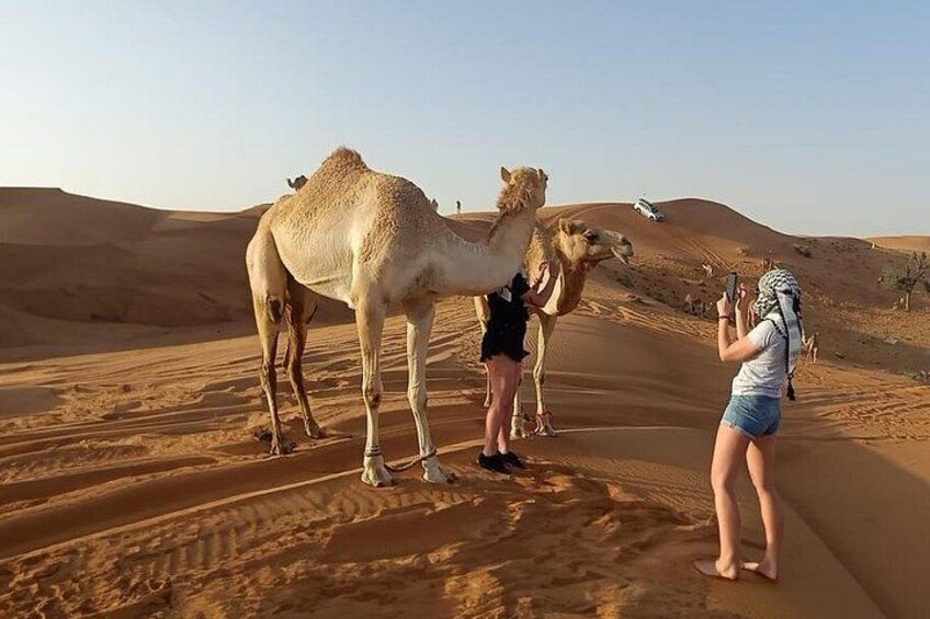 Dubai Private Morning Lahbab Red Dunes Safari & Camel Ride 1