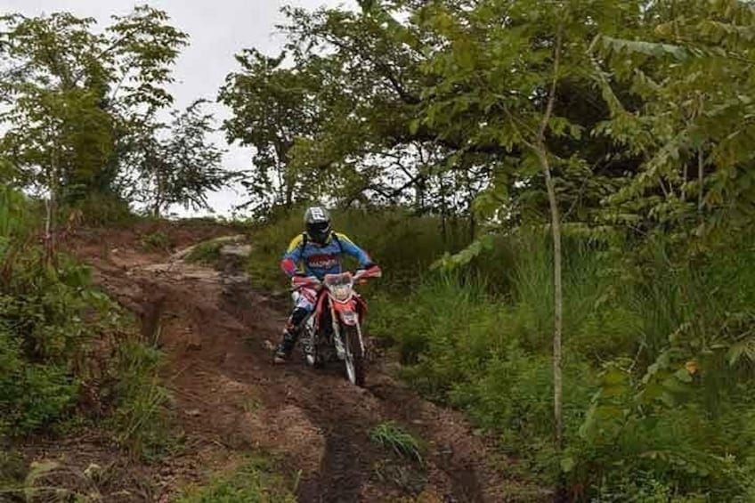 A person riding a dirt bike on a narrow trail surrounded by greenery. 3