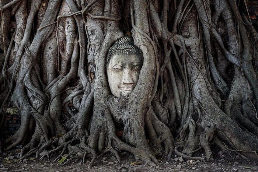 Join this cultural day trip to UNESCO World Heritage Site Ayutthaya, once Asia’s most magnificent capital with the River Cruise Experience 1