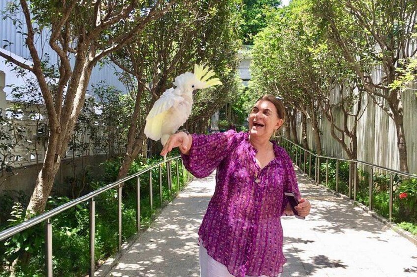 A person feeding a white bird on a leash in a tree-lined pathway. 4