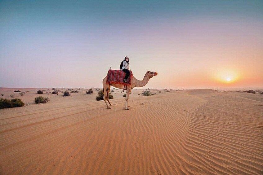 Un chameau avec son cavalier dans un paysage désertique au coucher du soleil. 3