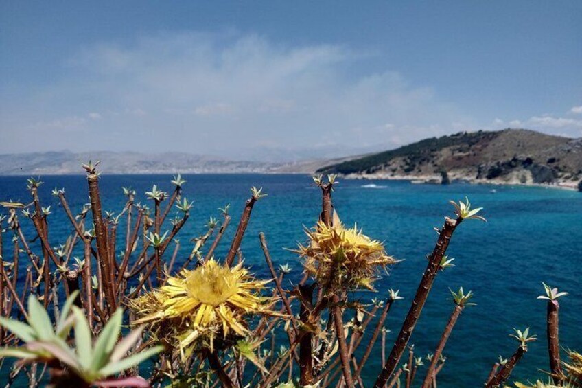 Half-day Tour in South Albania (Blue Eye, Lekursi Castle, Ksamil) 1