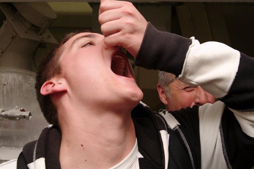tasting the barley 2