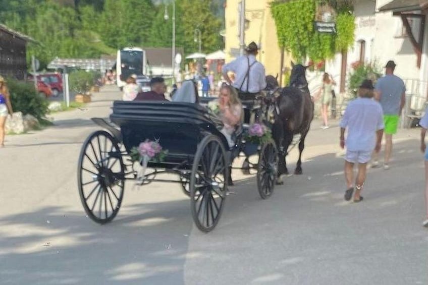 Horse drawn carriage 2