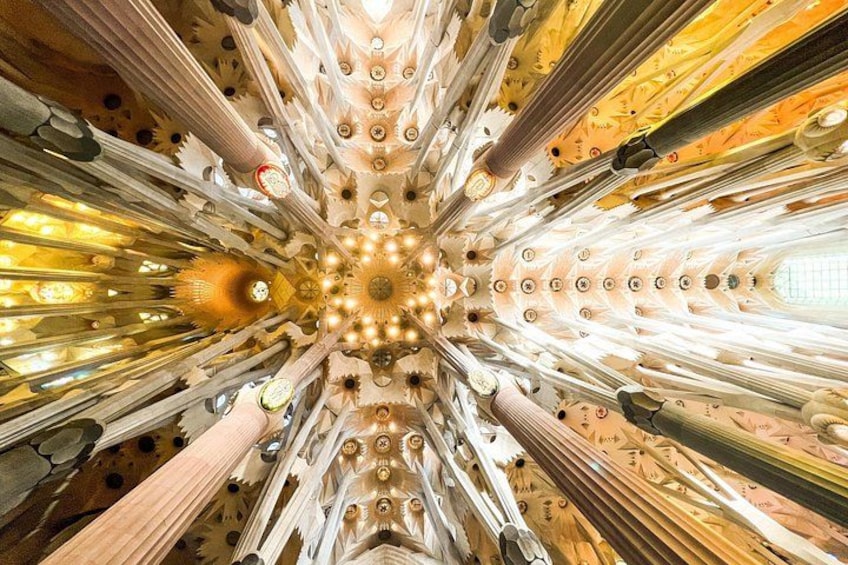 Park Guell and Sagrada Familia Tour with Skip the Line Tickets 2