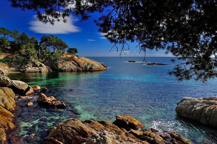 Un paisaje costero con aguas turquesas cristalinas, costas rocosas y pinos. 2