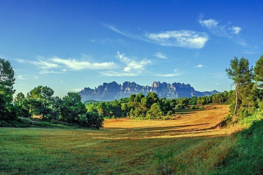 Montserrat Monastery Small Group or Private Tour Hotel pick-up 5