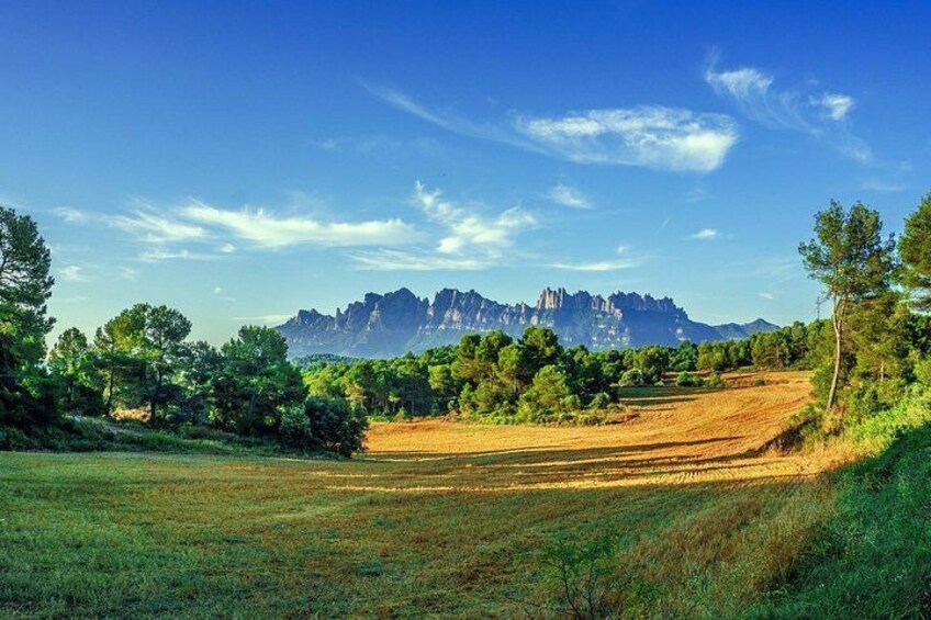 A grassy field with trees and a mountain range in the background. 5