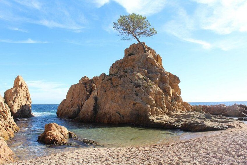 Tossa de Mar 5