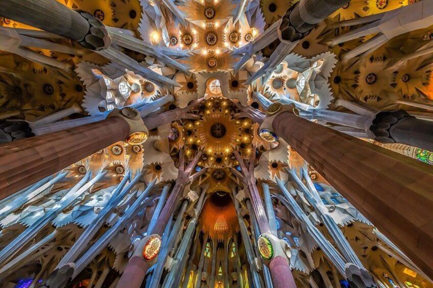 Park Guell and Sagrada Familia Private Tour with Hotel pick-up 4