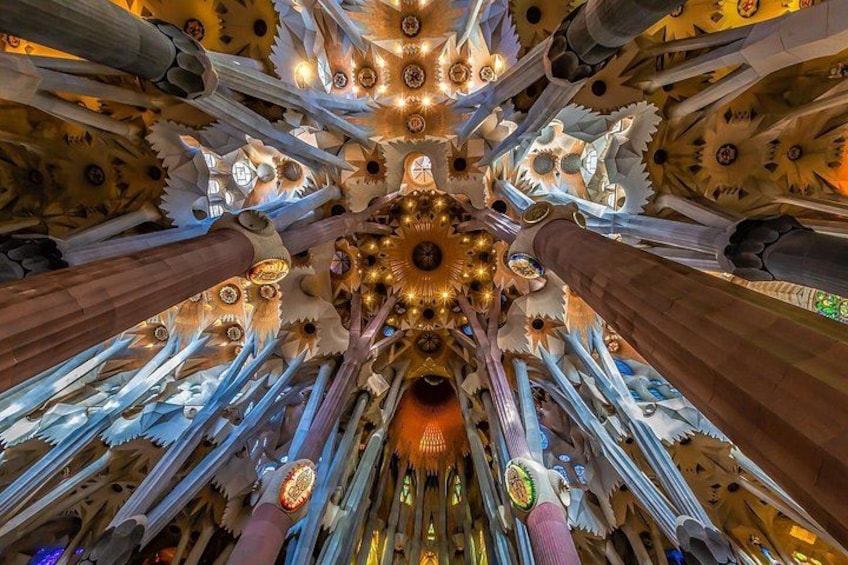 Park Guell and Sagrada Familia Private Tour with Hotel pick-up 4