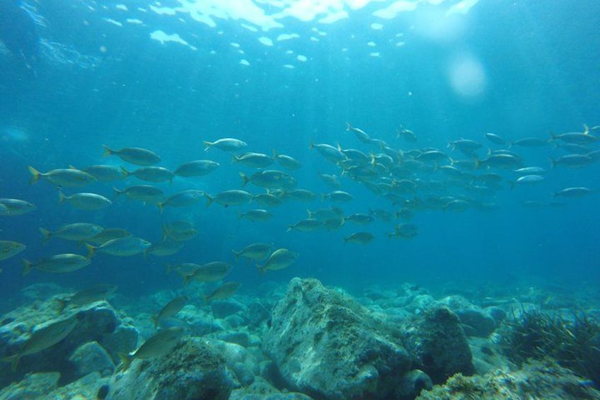 Costa Brava Tour: Kayak, Snorkel, Cliff Jump & lunch Small Group 2