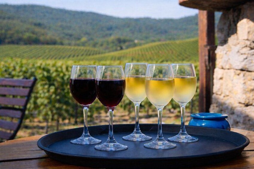 A tray with four wine glasses on a table, set against a vineyard backdrop. 4