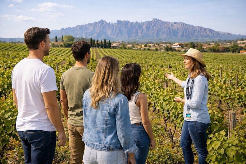 A group of people in a vineyard with rows of grapevines and mountains in the background. 1