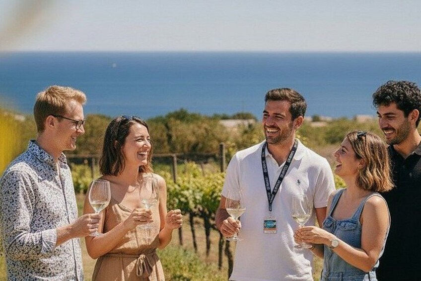 A group of people standing outdoors, holding wine glasses, with a vineyard and ocean in the background. 2