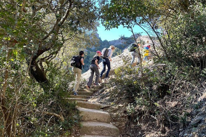 Hikers ascending a stone staircase surrounded by dense foliage. 3
