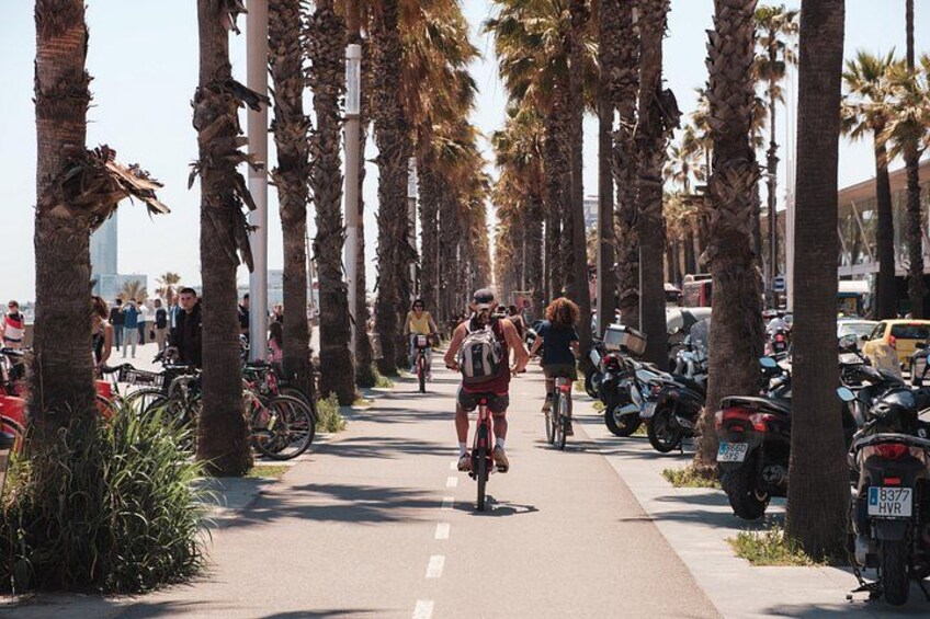 Barcelona 3-hour Bike or E-Bike Tour: Highlights and Hidden Gems 4