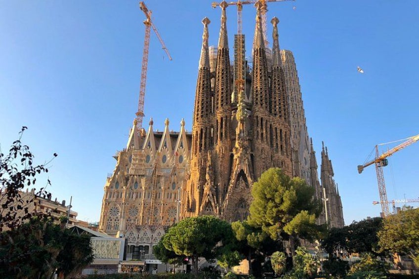 Barcelona 3-hour Bike or E-Bike Tour: Highlights and Hidden Gems 5