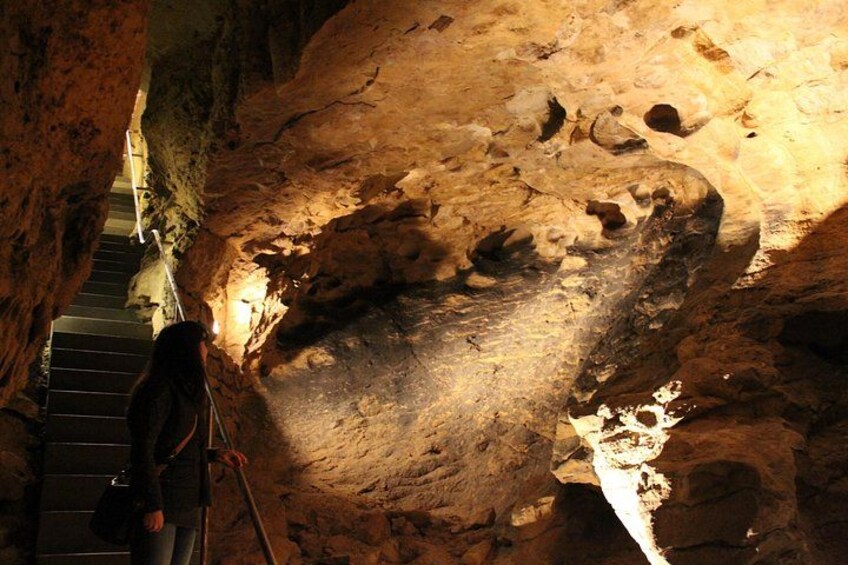 Una cueva con una persona escalando una escalera de metal. 2