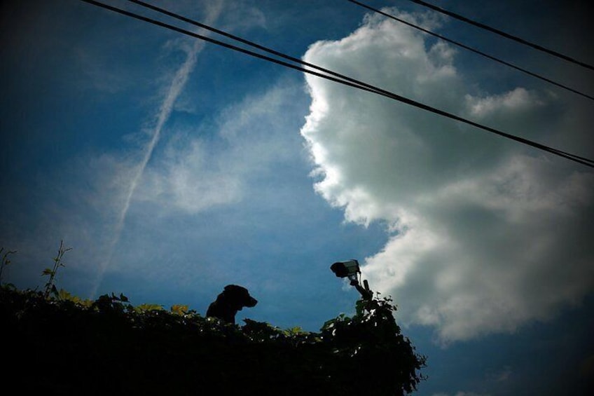 Silhouet van een persoon op een dakrand met een grote wolk aan de hemel. 2